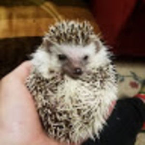 Meet your Posher, Kathryn